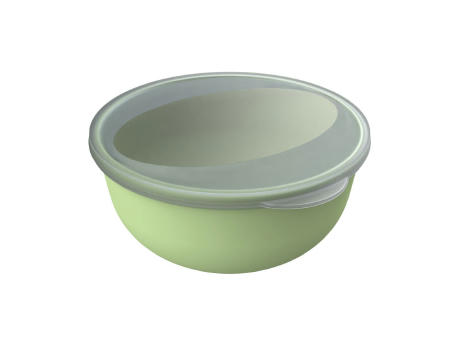 geselliges grün/ transparent-milchig