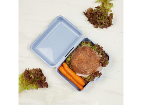 Vorratsdose "School-Box" groß Werbeartikel