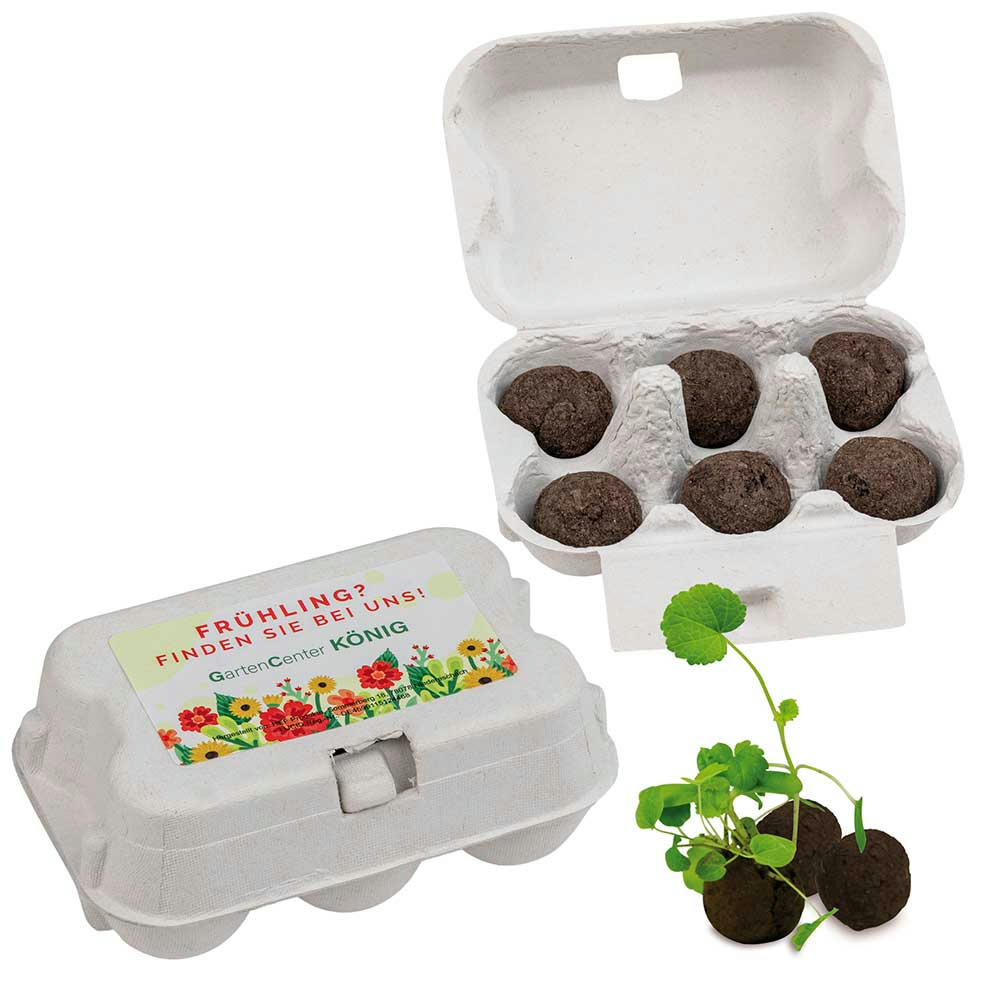 Product image Sixpack - Flower-Balls Midi mit Samen mit Samen Werbeartikel