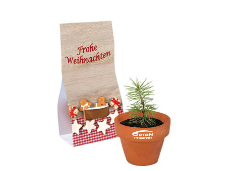Product image Logo-Töpfchen Überreichverpackung mit Samen - Fichte Werbeartikel