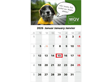 Product image 1-Monatskalender Solo 1 Bestseller (Einblatt) Werbeartikel