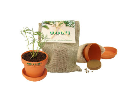 Natur - Säckchen Pflanze deinen Baum Werbeartikel