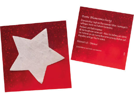 Samenpapier-Kärtchen Stern Werbeartikel