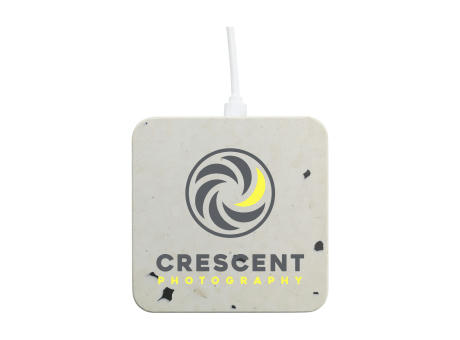 Product image Walter Waste Dock - Kühlschränke Ladegerät bedrucken