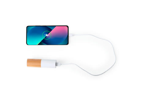 Power Bank Reneh bedrucken