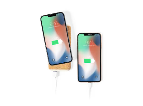 Power Bank Limerick bedrucken