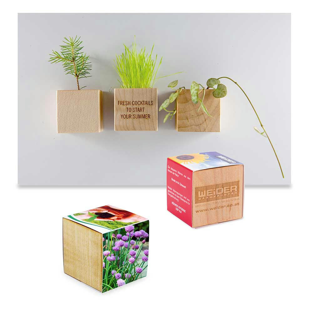 Product image Pflanz-Holz Magnet mit Samen - Petersilie Werbeartikel