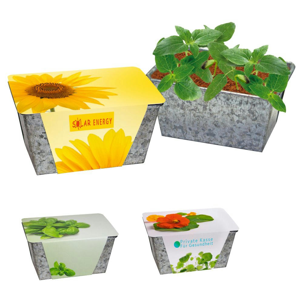 Product image Wachstums-Kästchen Sonne Werbeartikel