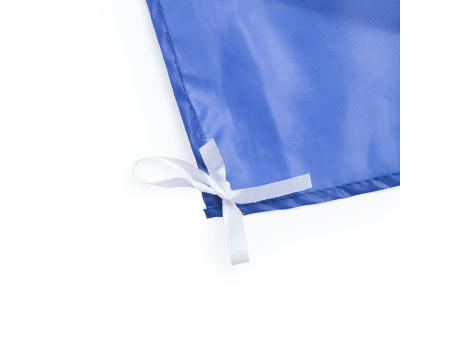 Fahne Dambor bedrucken