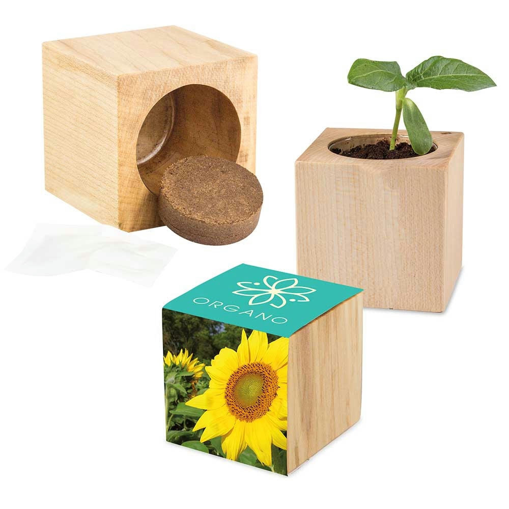 Pflanz-Holz Maxi mit Samen - Basilikum Werbeartikel
