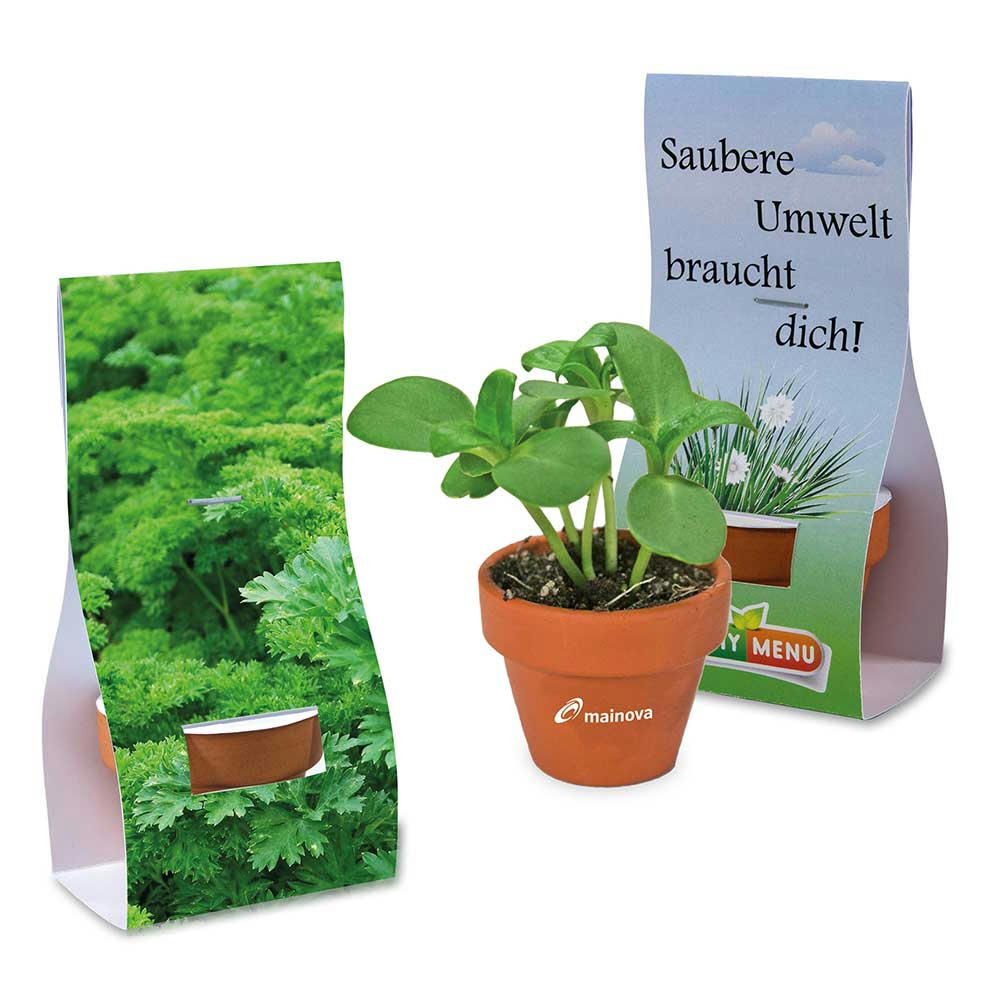 Product image Logo-Töpfchen Überreichverpackung mit Samen - Petersilie Werbeartikel