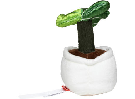 Schmoozies® Evergreenies® Monstera Werbeartikel