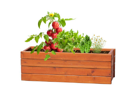 Pflanz-Set Solmi Werbeartikel