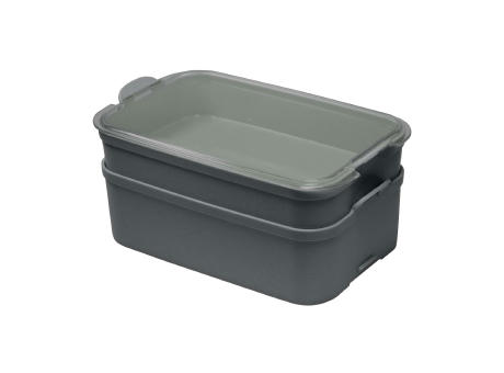 nature ash grey/crystal clear