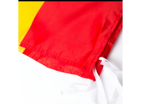 Fahne Caser Werbeartikel