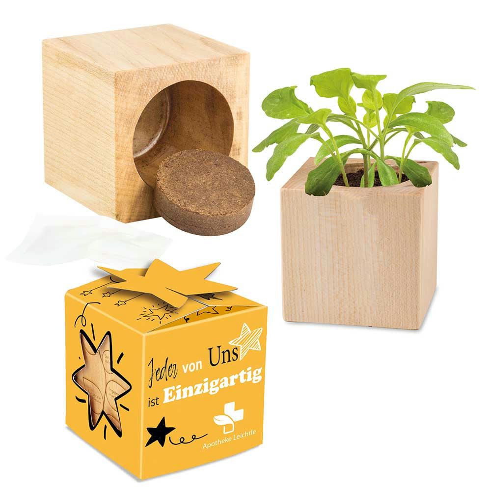Product image Pflanz-Holz Star-Box Ostern mit Samen - Eierbaumsamen Werbeartikel