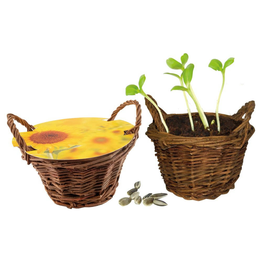 Product image Weiden Körbchen Sonne Werbeartikel