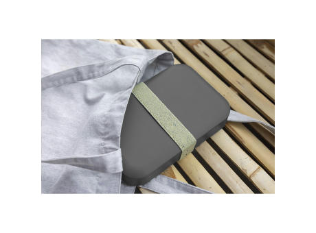 Amuse Recycled PP Lunch Box Large Werbeartikel