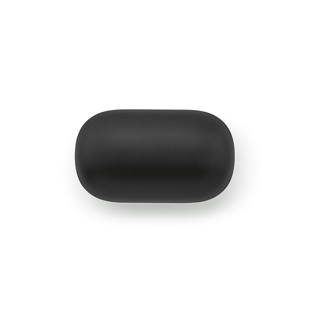 Pasteur Earbuds rABS 5h  Werbeartikel