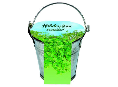 Product image Zinkeimerchen Kräuter Werbeartikel