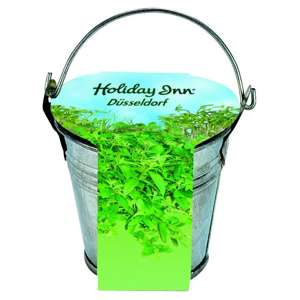 Product image Zinkeimerchen Kräuter Werbeartikel