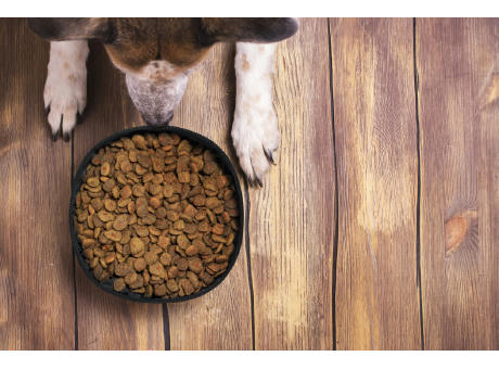 Hundenapf Vurex Werbeartikel