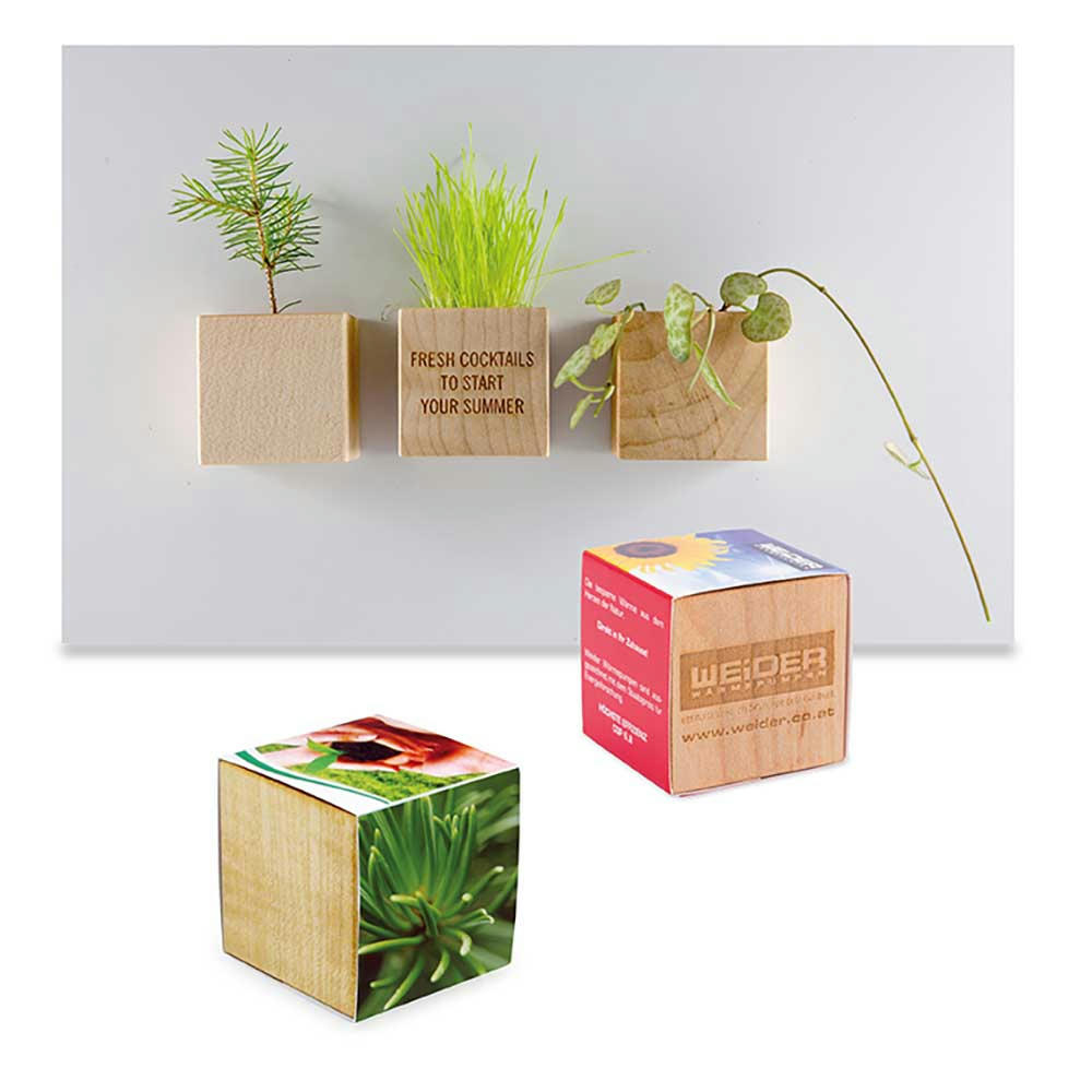 Product image Pflanz-Holz Magnet mit Samen - Basilikum Werbeartikel