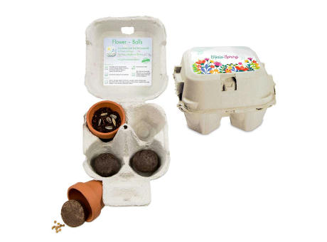 Das Grüne vom Ei - Green-Mix Box - Eierbaumsamen Werbeartikel