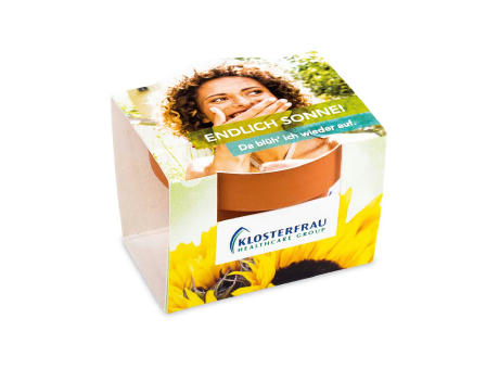 Logo-Töpfchen Komplettbanderole mit Samen - Schnittlauch Werbeartikel