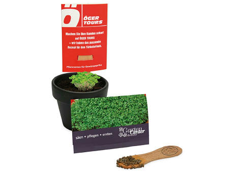 Product image Pflanz-Stick mit Samen - Basilikum Werbeartikel