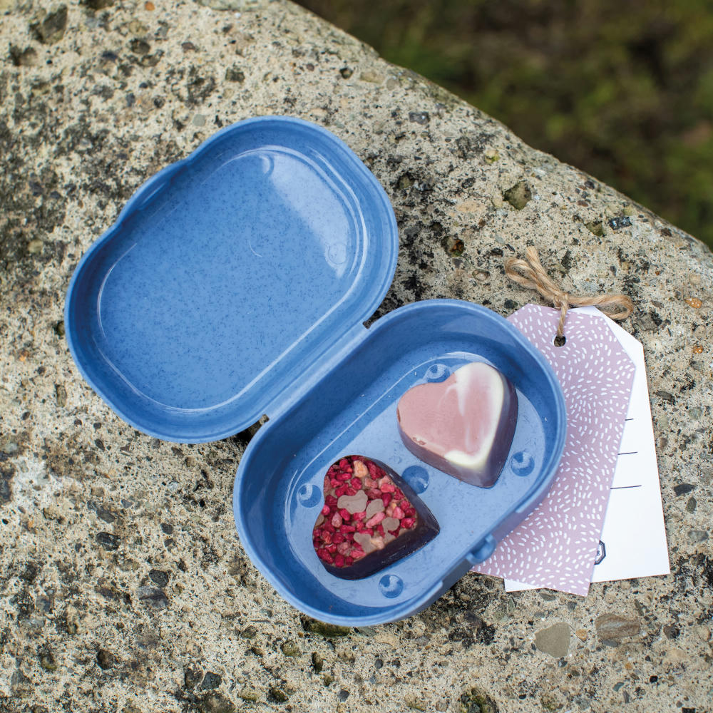 Koziol PASCAL MINI Lunchbox Werbeartikel