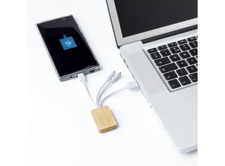 Bambus Ladekabel Brandan bedrucken