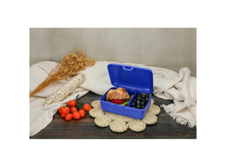 Vorratsdose "School-Box" deluxe, mit Trennschale Werbeartikel