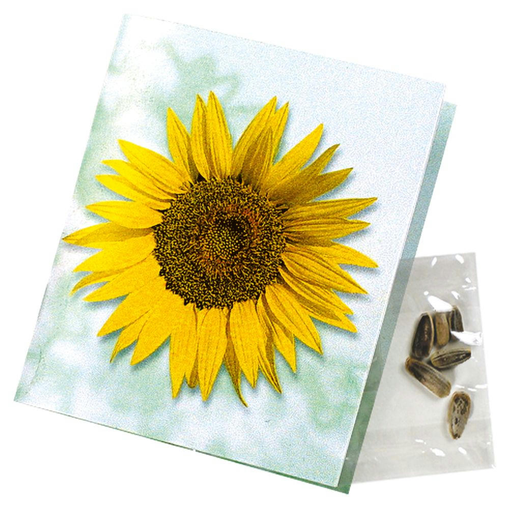 Product image Klappkärtchen Sonne Werbeartikel
