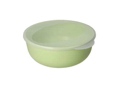 geselliges grün/ transparent