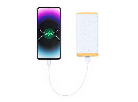 Power Bank Coquin bedrucken
