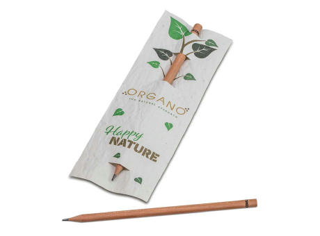 Product image Bleistift im Samenpapieretui - Basilikum, Druck 4/0-c Werbeartikel