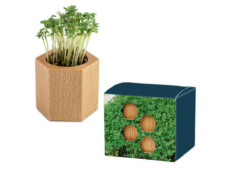 Pflanz-Holz Hexagon mit Samen - Basilikum Werbeartikel