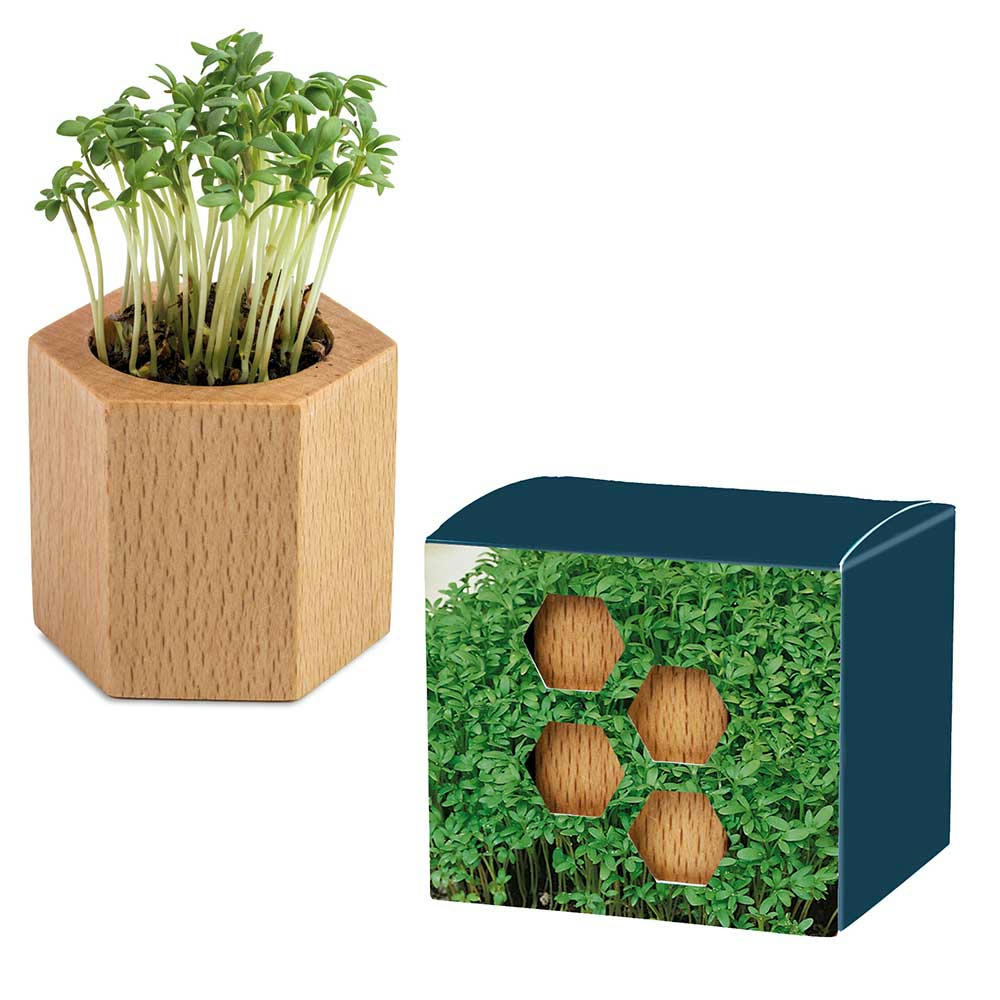 Product image Pflanz-Holz Hexagon mit Samen - Basilikum Werbeartikel