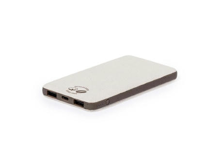 Power Bank Mayer bedrucken