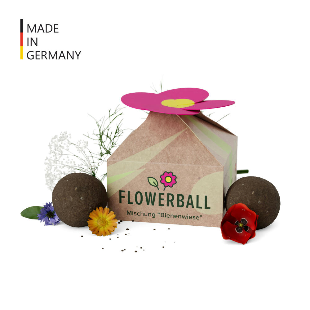 Product image Seedbomb Set - Flower-Ball "Bienenwiese" - torffrei Werbeartikel