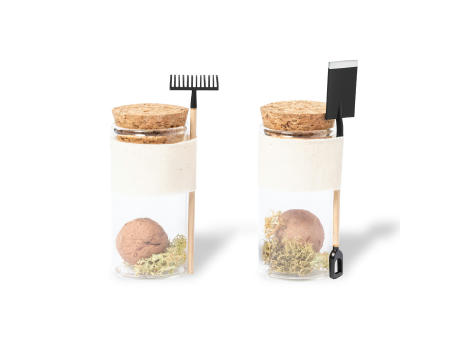 Bonbon-Samen Winsu Werbeartikel