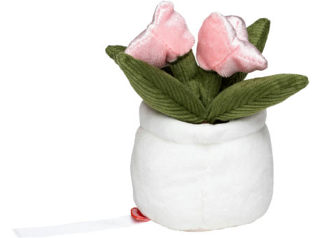 Schmoozies® Evergreenies® Tulpe Werbeartikel