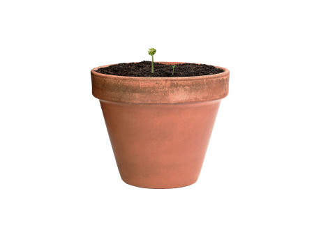 Samenkugel Flobba Werbeartikel