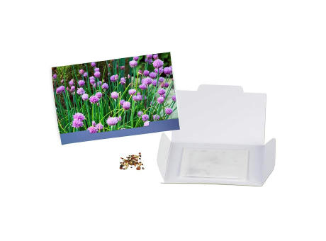 Flower-Card mit Samen - Petersilie Werbeartikel