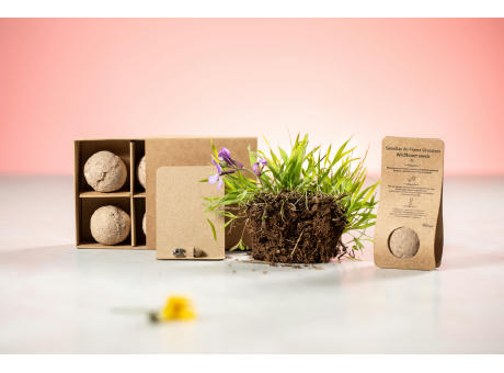 Samenkugel Flobba Werbeartikel