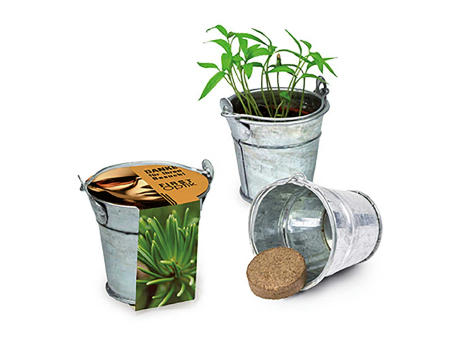 Product image Pflanzeimerchen mit Samen - Basilikum Werbeartikel