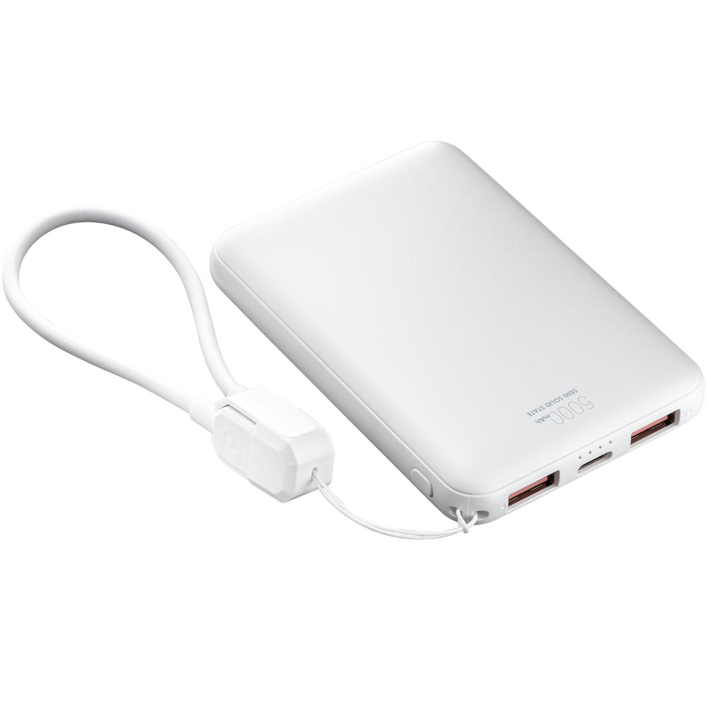 Product image Powerbank REEVES-WATTRON CORE V Werbeartikel
