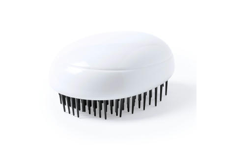 Bürste Zilam Werbeartikel