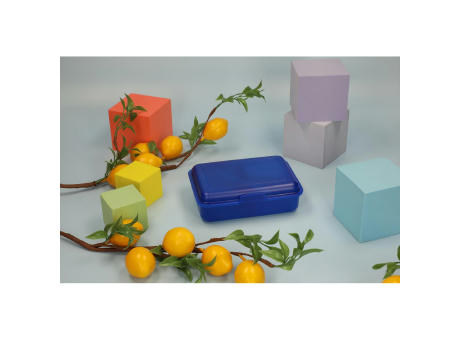 Vorratsdose "School-Box" mittel mit Trennwand Werbeartikel